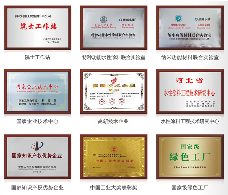 91视频网站入口各項榮譽（yù）.jpg